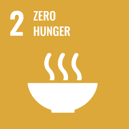 SDG Logo