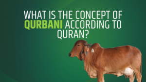 What is the concept of Qurbani according to Quran?